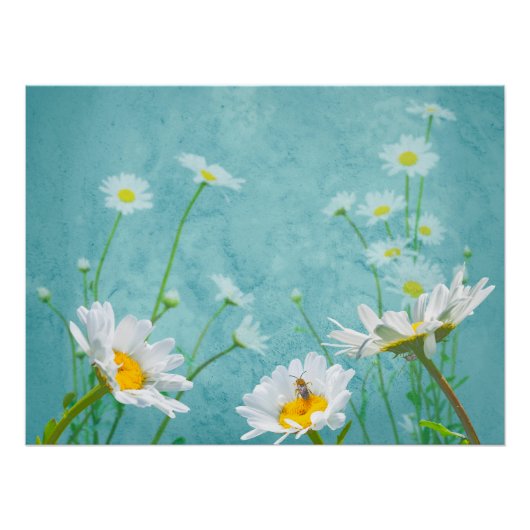 Daisies on a blue background ポスター (正面)