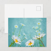 Daisies on a blue background ポストカード (正面/裏面)
