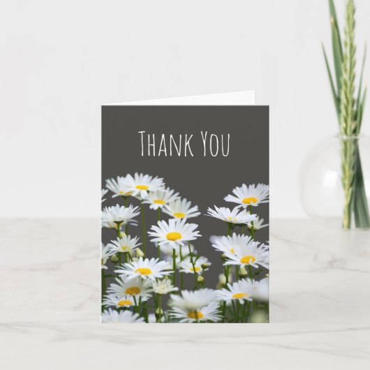 Daisies on Gray Thank You サンキューカード (正面)