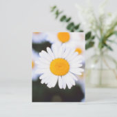 Daisiest Daisy ポストカード (スタンド正面)