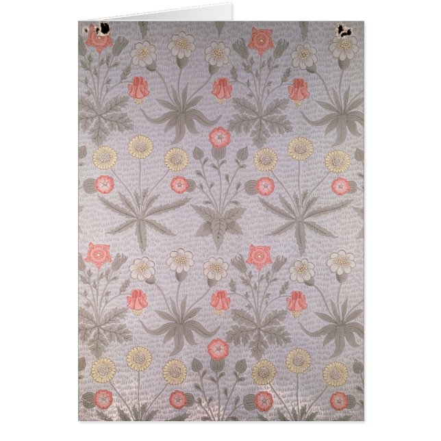 Daisyの壁紙のデザイン (正面)