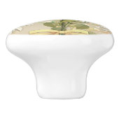 Daisy セラミックノブ (側面)