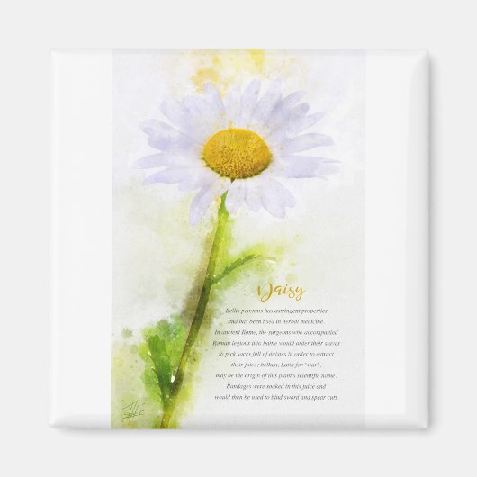 Daisy マグネット (正面)