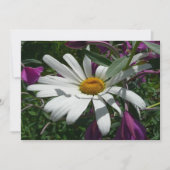 Daisy and Fireweed Wildflower カード (正面)
