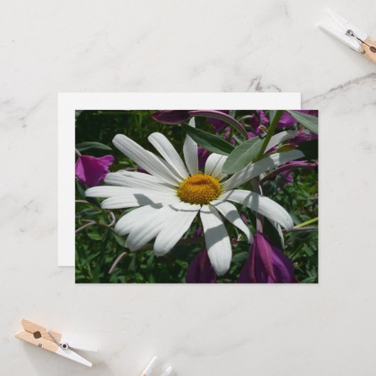 Daisy and Fireweed Wildflower カード (正面/裏面インサイチュ)