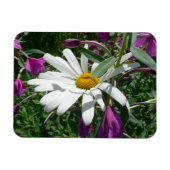 Daisy and Fireweed Wildflower マグネット (横)