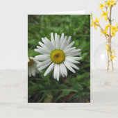 Daisy Birthday Card カード (黄色い花)