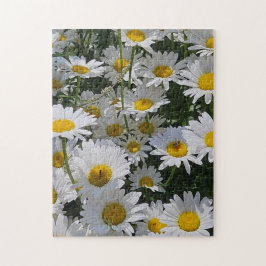 Daisy Daydream Puzzle, 11" x 14", 252 pieces ジグソーパズル