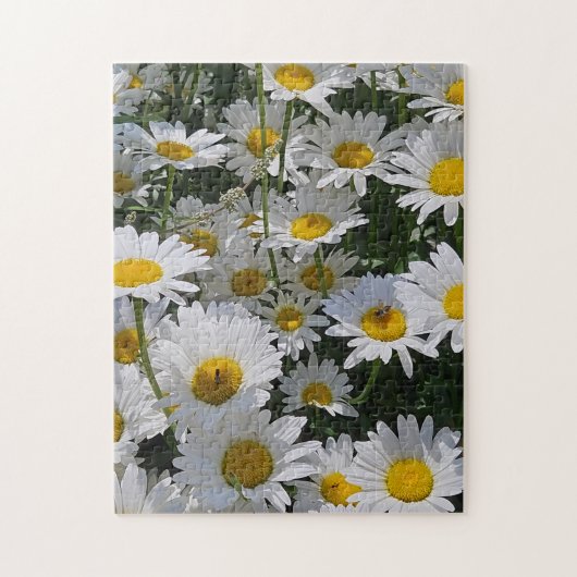Daisy Daydream Puzzle, 11" x 14", 252 pieces ジグソーパズル (縦)