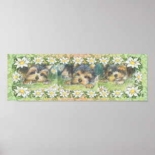Daisy Dogs Yorkie Puppies Poster Print ポスター