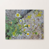 Daisy Dots of Delight Puzzle, 11" x 14", 252 pcs ジグソーパズル (横)