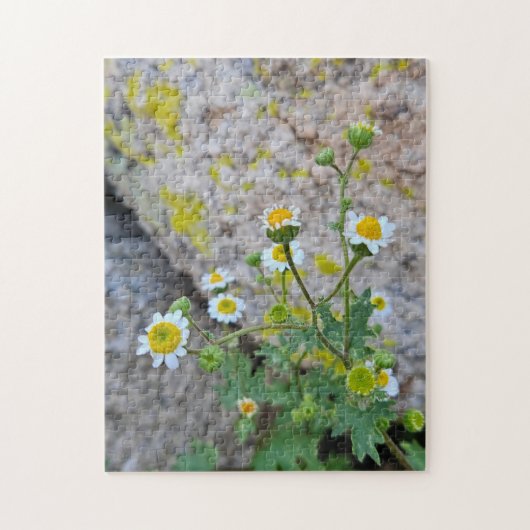 Daisy Dots of Delight Puzzle, 11" x 14", 252 pcs ジグソーパズル (縦)