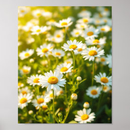 Daisy Field Sunlight Cheerful Flowers Spring ポスター