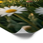 Daisy Lamb Spring Pasture ポスター (角)