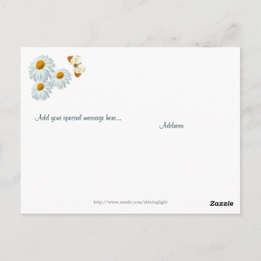 Daisy Meadow ポストカード (裏面)