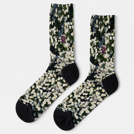 Daisy Meadow Crew Socks ソックス (左)