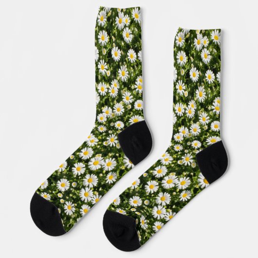 Daisy Meadow Crew Socks ソックス (左)