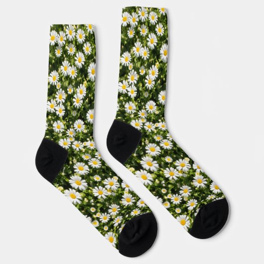 Daisy Meadow Crew Socks ソックス (右)