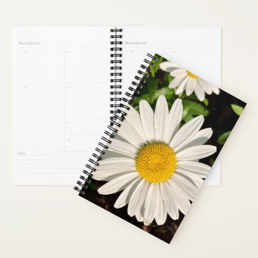 Daisy of a Planner. プランナー手帳 (ディスプレー)