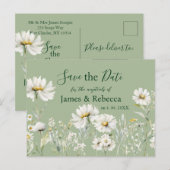 Daisy Sage & Botanical Wedding Save the Date ポストカード (正面/裏面)