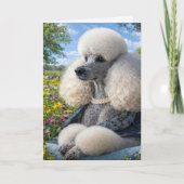 Daisy The Poodle Blank Card カード (正面)