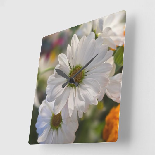 Daisy Time スクエア壁時計 (傾斜)