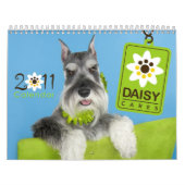 DaisyCaresのカレンダー2011年 カレンダー (カバー)