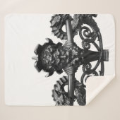 Dakota Sherpa Blanket シェルパブランケット (正面(横))