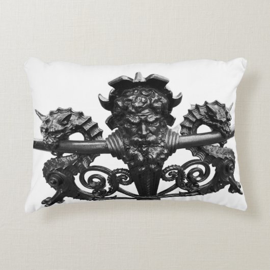 Dakota Throw Pillow アクセントクッション (正面)
