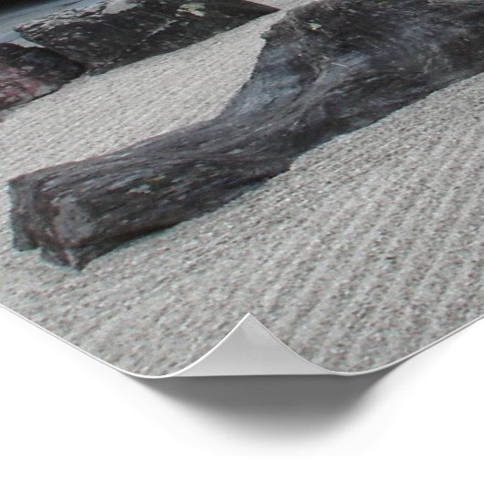 Dalai Gaga ポスター (角)