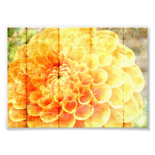 Dalie  フォトプリント            (正面)