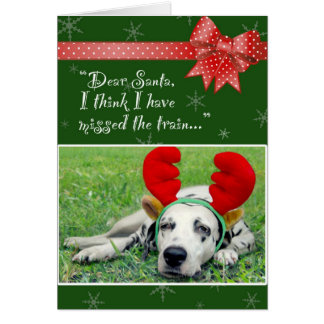 Dalmatian失敗列車の緑