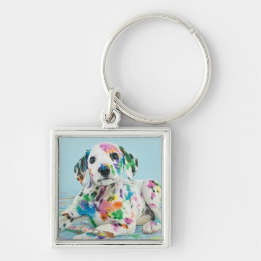 Dalmatian子犬 キーホルダー (正面)