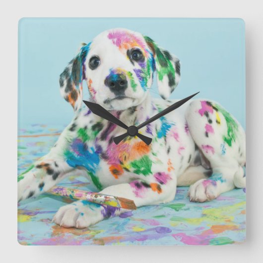 Dalmatian子犬 スクエア壁時計 (正面)