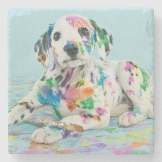 Dalmatian子犬 ストーンコースター (正面)