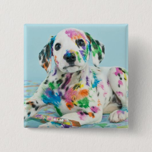 Dalmatian子犬 缶バッジ (正面)