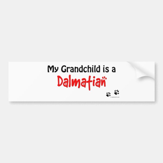 Dalmatian孫 バンパーステッカー (正面)