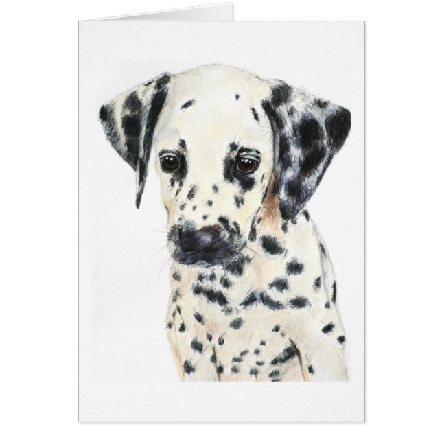 Dalmatian犬の芸術 (正面)