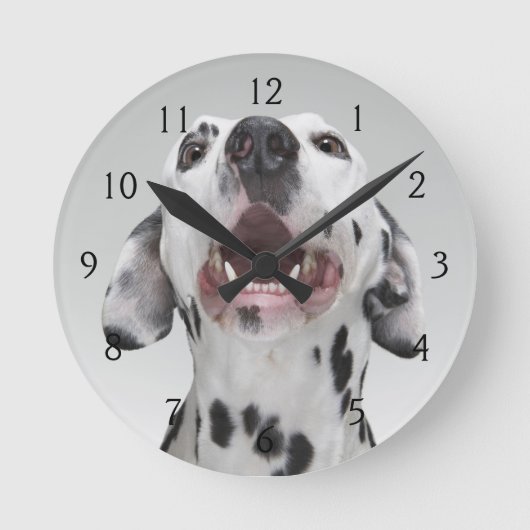 Dalmatian犬の閉めて下さい ラウンド壁時計 (正面)