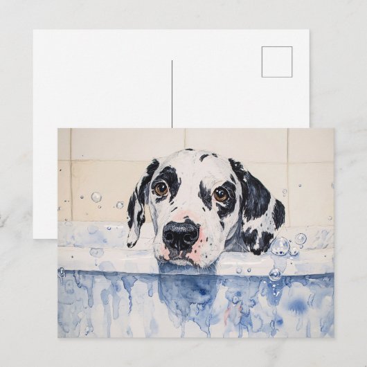 Dalmatian Dog Bath Time Painting ポストカード (正面/裏面)