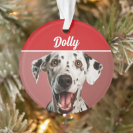 Dalmatian Dog Name Photo Holiday Christmas オーナメント