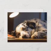 DALMATIAN DOG SLEEPING POSTCROSSING ポストカード (正面/裏面)