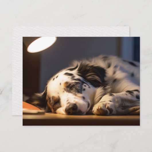 DALMATIAN DOG SLEEPING POSTCROSSING ポストカード (正面/裏面)