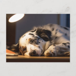 DALMATIAN DOG SLEEPING POSTCROSSING ポストカード