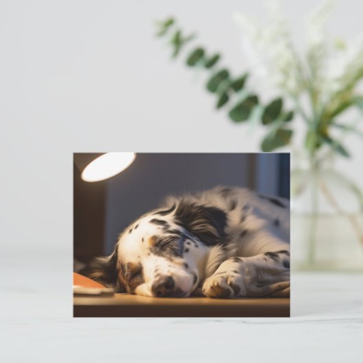 DALMATIAN DOG SLEEPING POSTCROSSING ポストカード (スタンド正面)