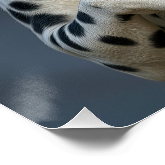 Dalmatian Dog With a Fire Hose ポスター (コーナー)