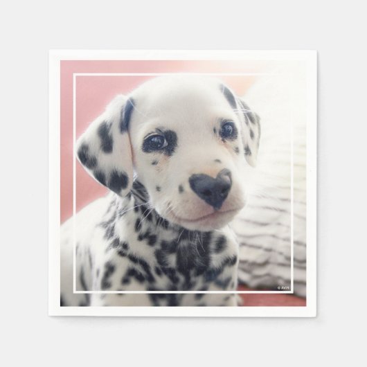 Dalmatian Heart Nose スタンダードカクテルナプキン (正面)