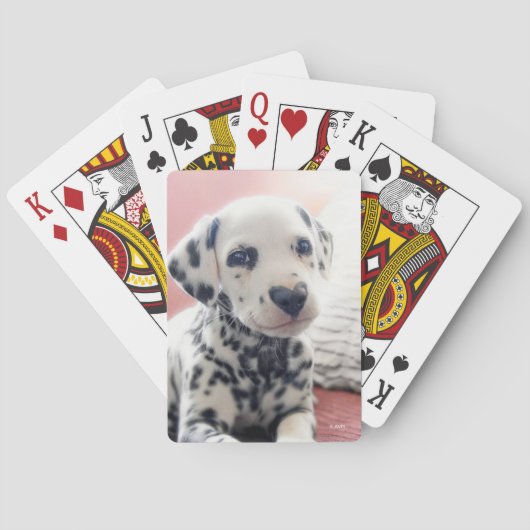 Dalmatian Heart Nose トランプ (裏面)