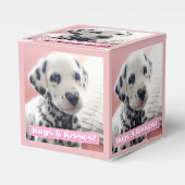 Dalmatian Heart Nose フェイバーボックス (正面サイド)