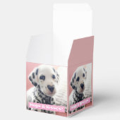 Dalmatian Heart Nose フェイバーボックス (オープン)